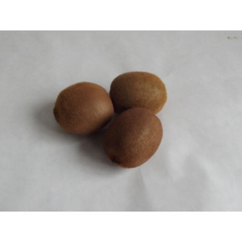Kiwi bio 1 ks (80-90 g)